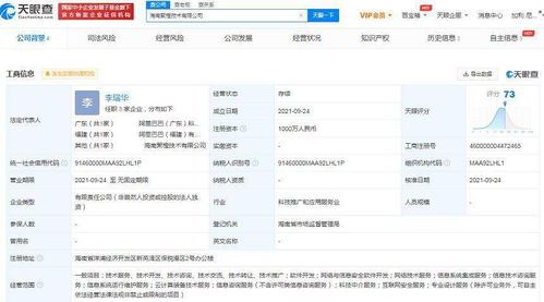 阿里加碼布局海南 新設公司聚焦網絡安全與數據開發